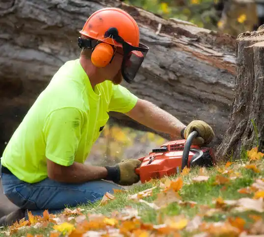 tree services Laurelville